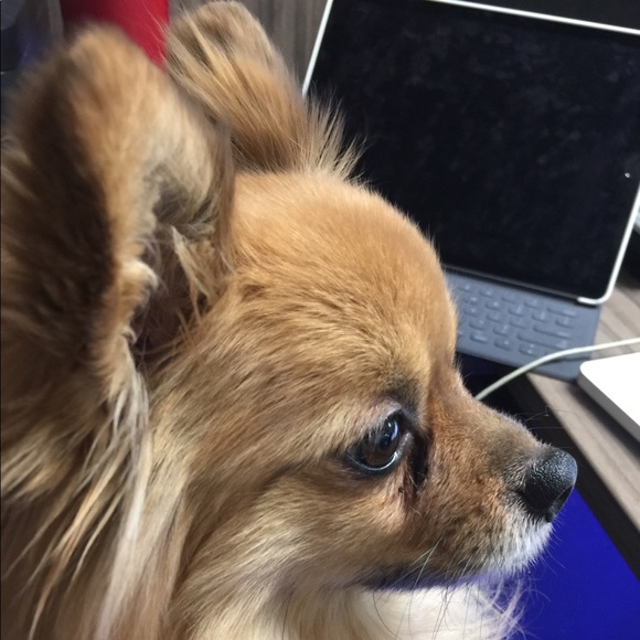 Meet your Posher, Yen - Picture 1 of 1